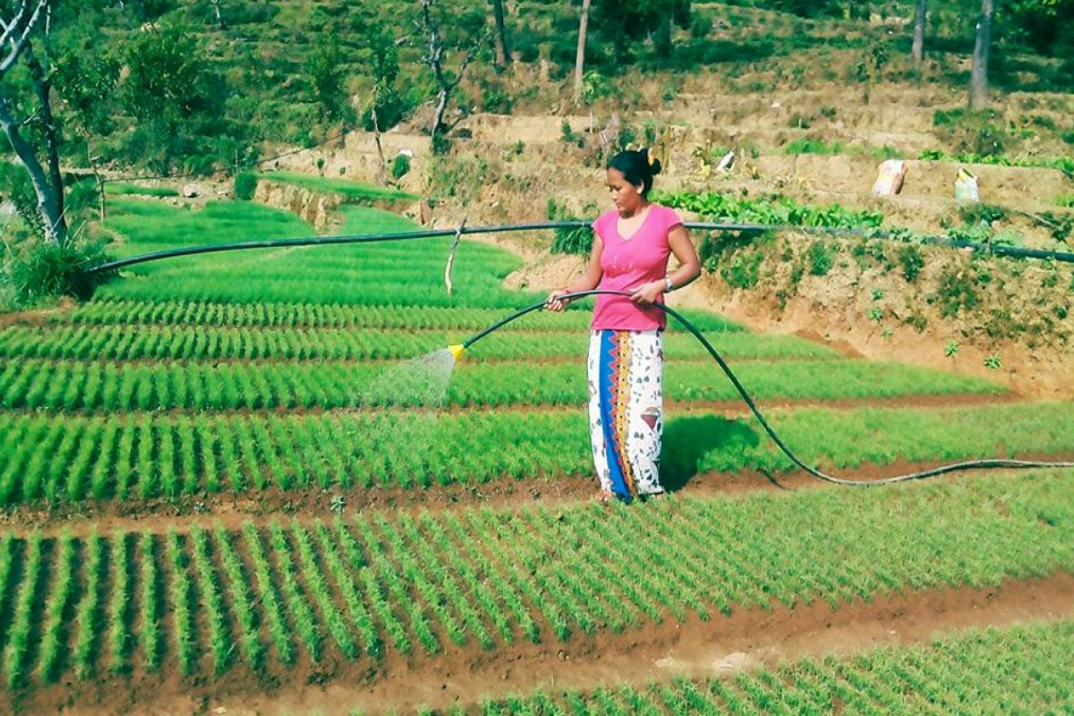 कृषि गाउँकी सङ्घर्षशील लक्ष्मी  